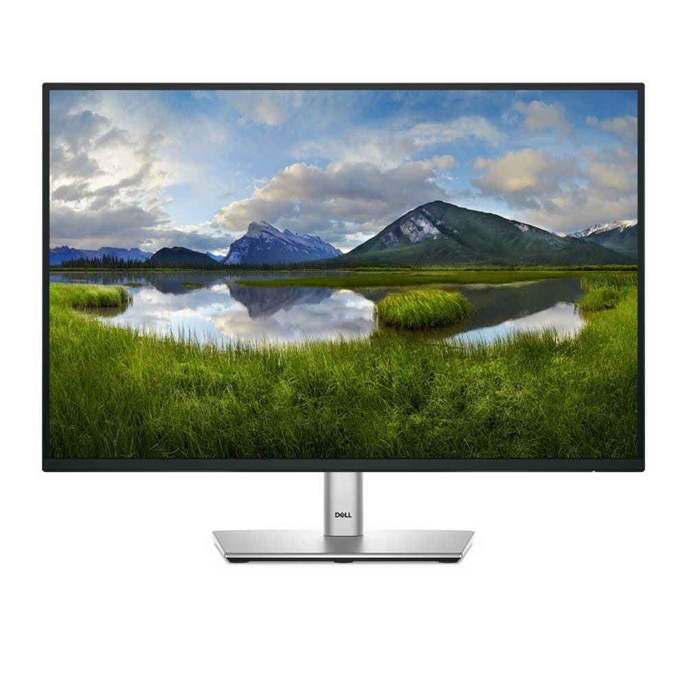 Dell P2425 24 Zoll WUXGA (1920x1200) 16:10 Monitor, 100Hz, IPS, 5ms, 99% sRGB, USB-C, DisplayPort, HDMI, VGA, 4X USB, 3 Jahre Garantie, Schwarz